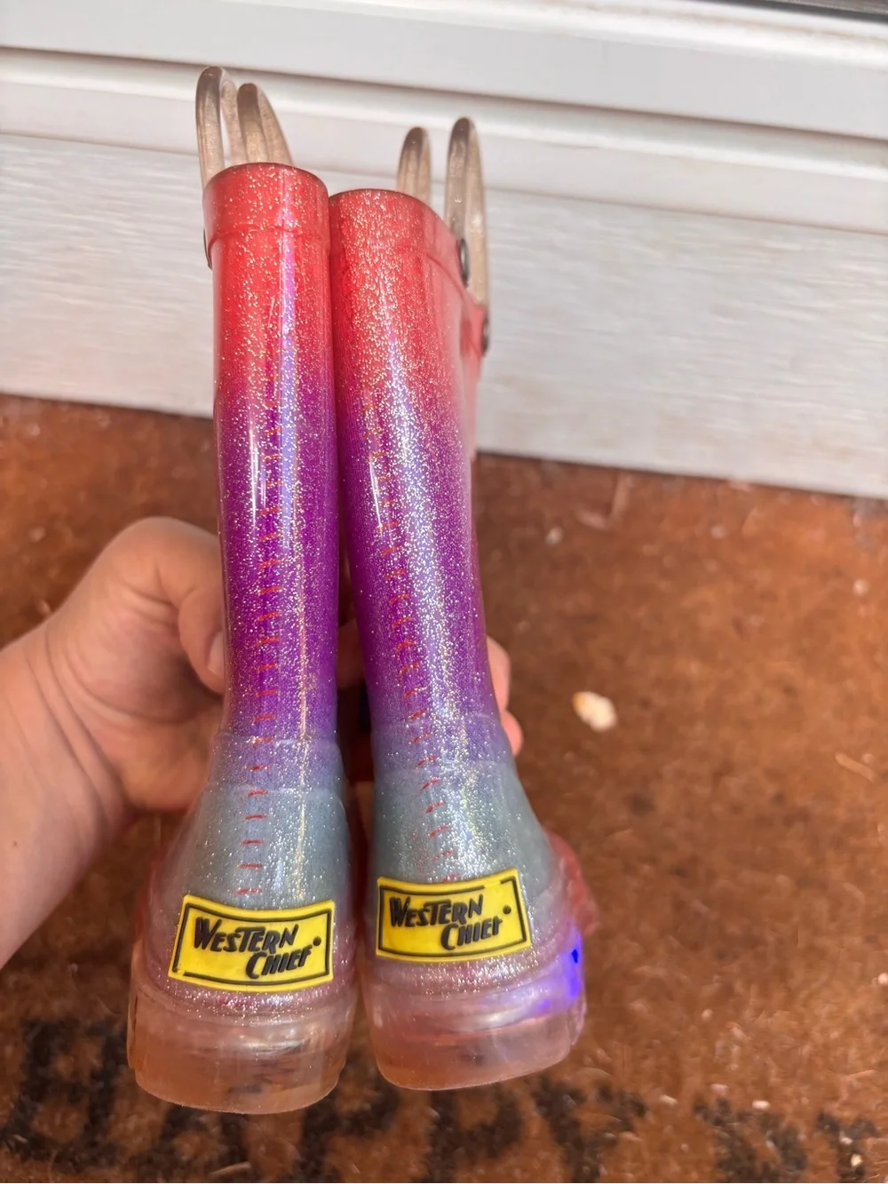 Western Chief Ombré Rainboots